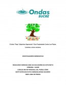 El árbol ¨Pepo¨ (Sapindus Saponaria) Y Sus Propiedades Contra Los Piojos, Liendres y otros vectores