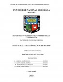 CARACTERIZACIÓN DEL MACIZO ROCOSO