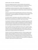 DARWIN.FLORES Y MAS FLORES: ANGIOSPERMAS