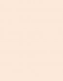 GUIA DE ELAB0RACIÓN DE PROTOCOLOS DE INVESTIGACIÓN Y DE TESIS