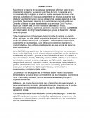 Análisis Crítico Desempeño Gerencial