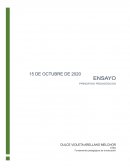 Proyecto: “Ensayo de los Principios de la Educación”