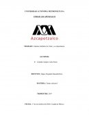 Cadenas Globales de Valor y su importancia