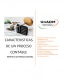 CARACTERISTICAS DE UN PROCESO CONTABLE