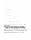 Estructura Organizacional Cadena de mando