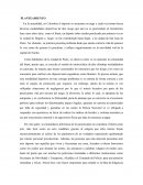 Stunt: ¿Deporte o vandalismo?