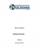 Plan de Negocios Informe de Proyecto