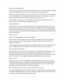 ¿Qué es el desarrollo humano?