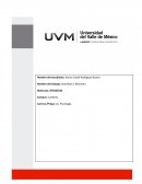 Las Funciones Centrales del Presupuesto