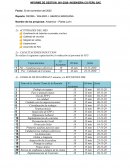 INFORME DE GESTION 001-2020- INGENIERIA CG PERU SAC