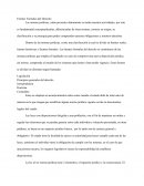 Fuentes Formales del derecho