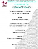 UN PROYECTO DE INVERSION