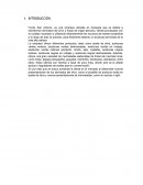 Actividades del sistema de distribución