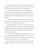 Ensayo sobre la historia, teoría y evolución administrativa