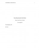 Desarrollo de los procesos psicologicos