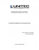 ANÁLISIS INTERPRETATIVO: BLOCKCHAIN