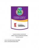 Diseño y analisis de informacion financiera