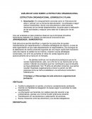 ANÁLISIS DE CASO SOBRE LA ESTRUCTURA ORGANIZACIONAL
