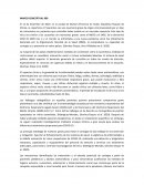 Marco conceptual COVID-19