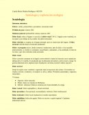 Semiología y exploración urologica