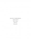 INSOLVENCIA Y REEMPRENDIMIENTO