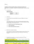 PROYECTO DE NEGOCIOS