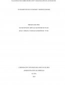 TALLER PRÁCTICO SOBRE PRODUCCIÓN Y ORGANIZACIÓN DE LOS NEGOCIOS