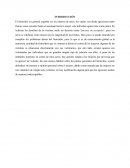 FEMICIDIO. OPINIÓN PERSONAL