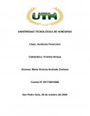 Auditoria Financiera