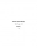 Administración Estratégica, Empresa: Falabella