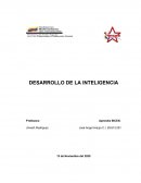 Desarrollo de la Inteligencia