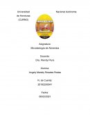 Microbiologia de alimentos