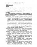 Psicología del desarrollo. Práctica de aprendizaje