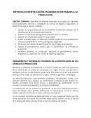 Métodos de identificación de animales destinados a la producción