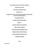 Aislamiento y cultivo de grupos especializados de bacterias (Columna de Winogradsky)