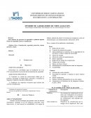 INFORME DE LABORATORIO DE VIRTUALIZACION