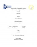 Capacitores en serie y paralelo