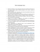 Taller Edadología: Rocas