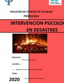 NIVELES DE INTERVENCION ANTE UN DESASTRE