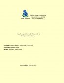 Mapa Conceptual Acerca de la Relación de la Biología con Otras Ciencias