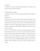 Planeacion y organizacion de forma individual