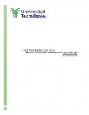 Psicología Organizacional