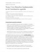 Los Derechos fundamentales en la Constitución española