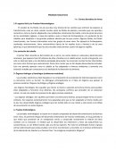 El registro fósil y las Pruebas Paleontológicas