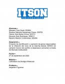 Laboratorio de Biología Molecular