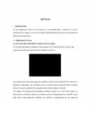 JUNTAS DE CONSTRUCCIÓN O JUNTA FRIA