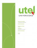 ENSAYO INTELIGENCIA EMOCIONAL