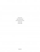 Vulnerabilidades y tecnología ¿Quién lo diría?