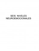 SEIS NIVELES NEUROEMOCIONALES