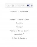 Ensayo. Crónica de una muerte anunciada